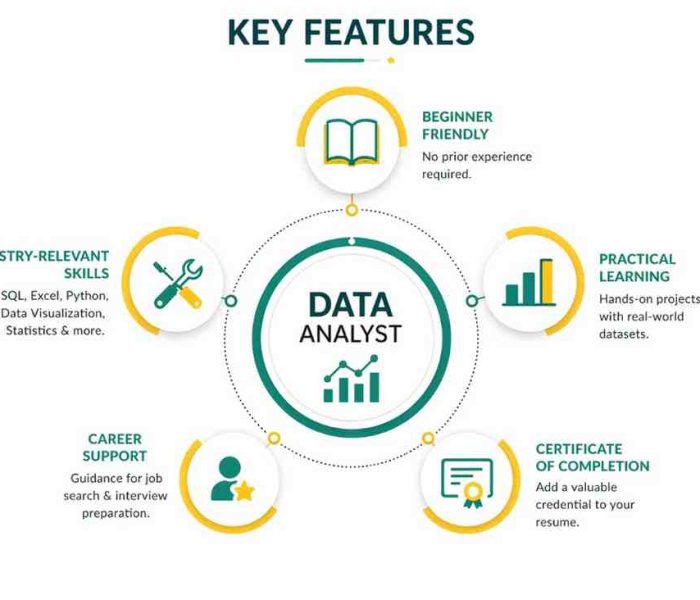 data analytics course